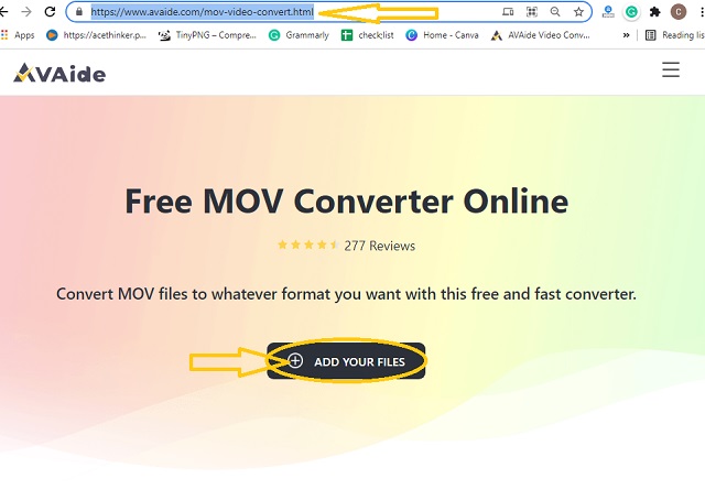 DivX MOV ออนไลน์