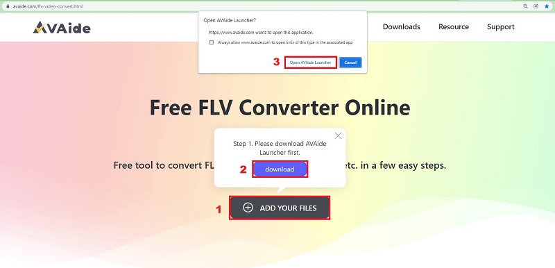 DivX a FLV Inicie la aplicación