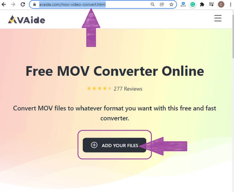 MPG MOV online