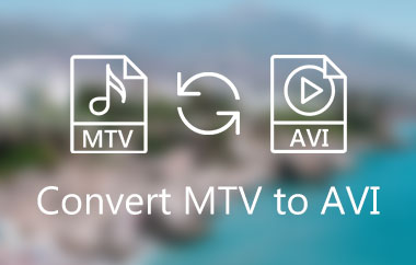 MTV에서 AVI로