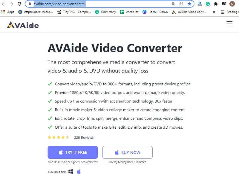 OGV MOV Download Button