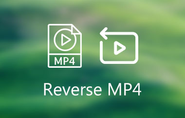 Reverse MP4
