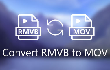 RMVB에서 MOV로