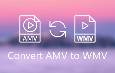 Converti AMV in WMV