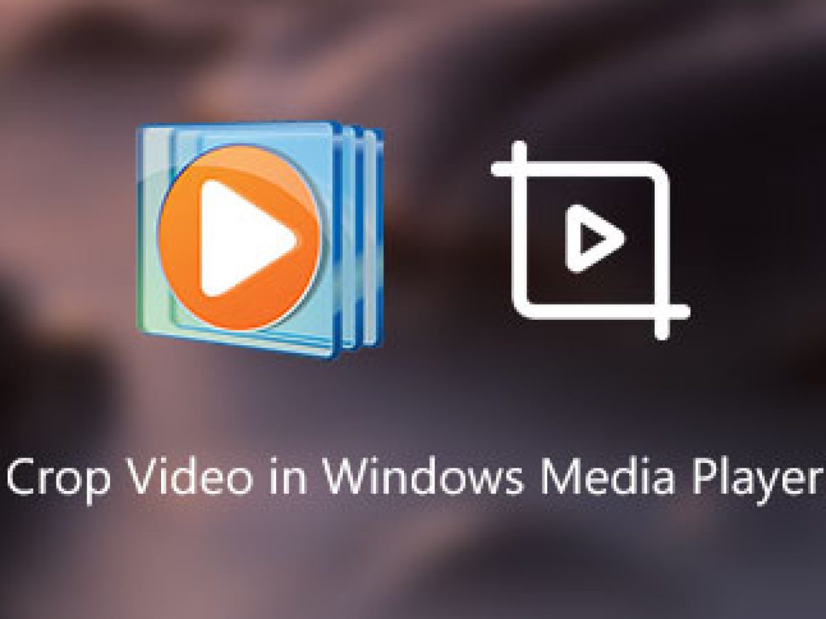 Plantando árboles giro Túnica Cómo recortar un video en Windows Media Player? ¡Vea y aprenda aquí!