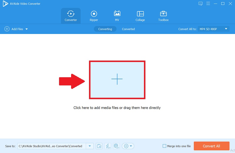 AVAide Video Converter Media File