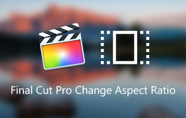 Final Cut Pro 更改縱橫比示例