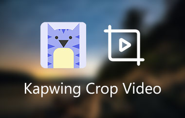 Videoclipuri Kapwing Crop