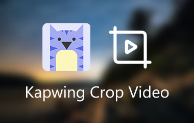 Kapwing Crop videók