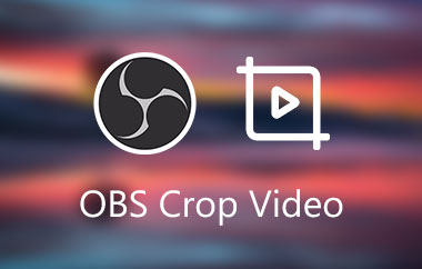 OBS Crop Video