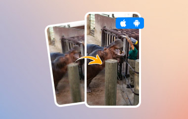 Videoqualität auf Android und iPhone verbessern