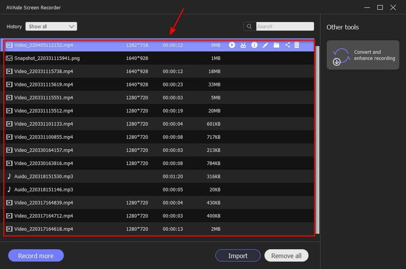 AVAide Visualizza la registrazione