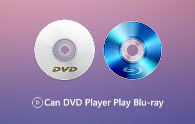 DVD 플레이어가 Blu-ray를 재생할 수 있습니까?