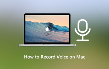 Mac에서 음성을 녹음하는 방법