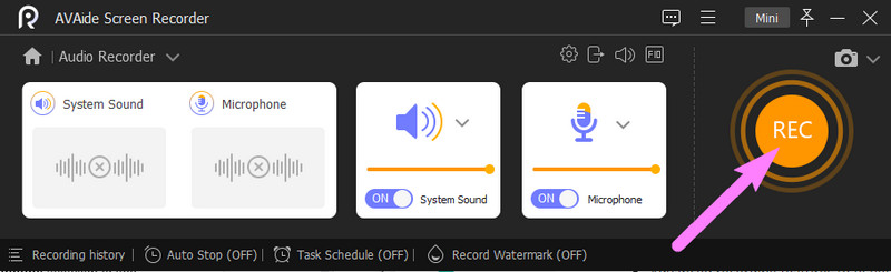 Recorder audio Rec