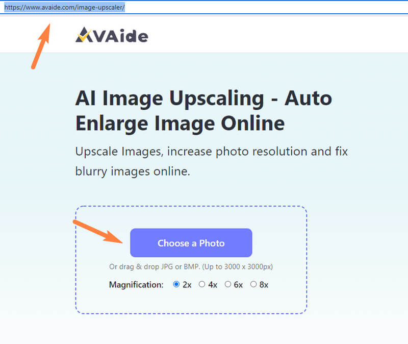 AVAide Upload File