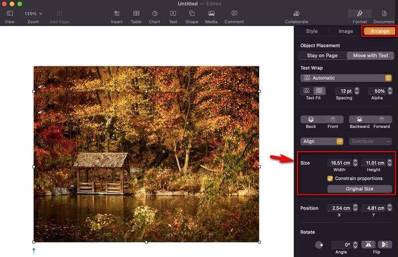 Page Resize Image
