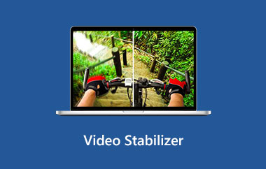 Mejor estabilizador de video