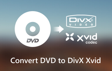 ดีวีดีเป็น DivX Xvid