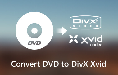 DVD naar DivX Xvid