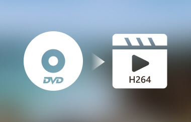 DVD naar H264