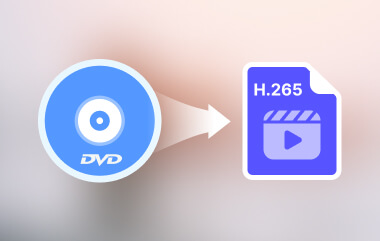 DVD to H265