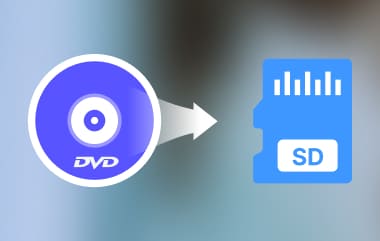 將 DVD 傳輸到 SD 卡