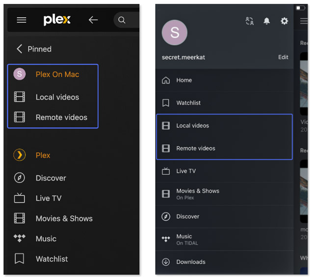 Plex에서 DVD 파일 재생 확인