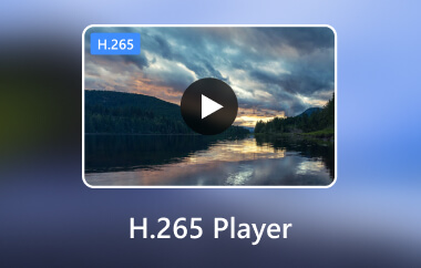 H265播放器