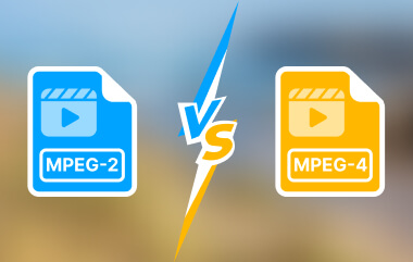 MPEG-2 대 MPEG-4
