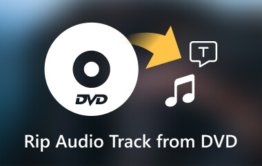 Rip DVD Audio Track Subtitrare