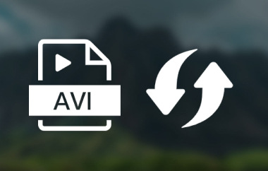 Convertisseurs vidéo AV1