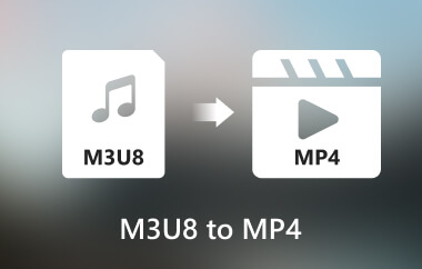 M3U8 naar MP4