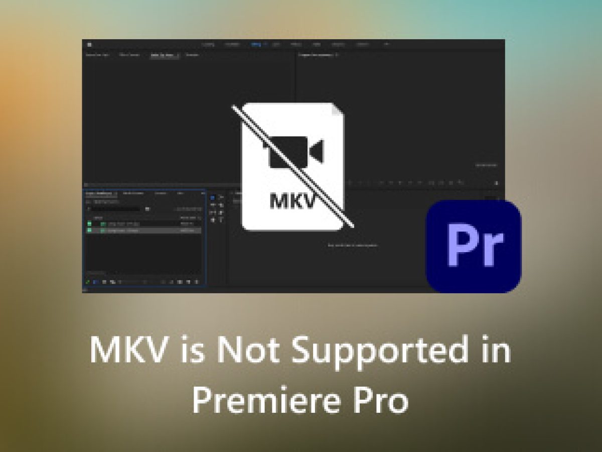 Is Mkv Supported By Premiere Pro Shop Discounts www.gbupresnenskij.ru