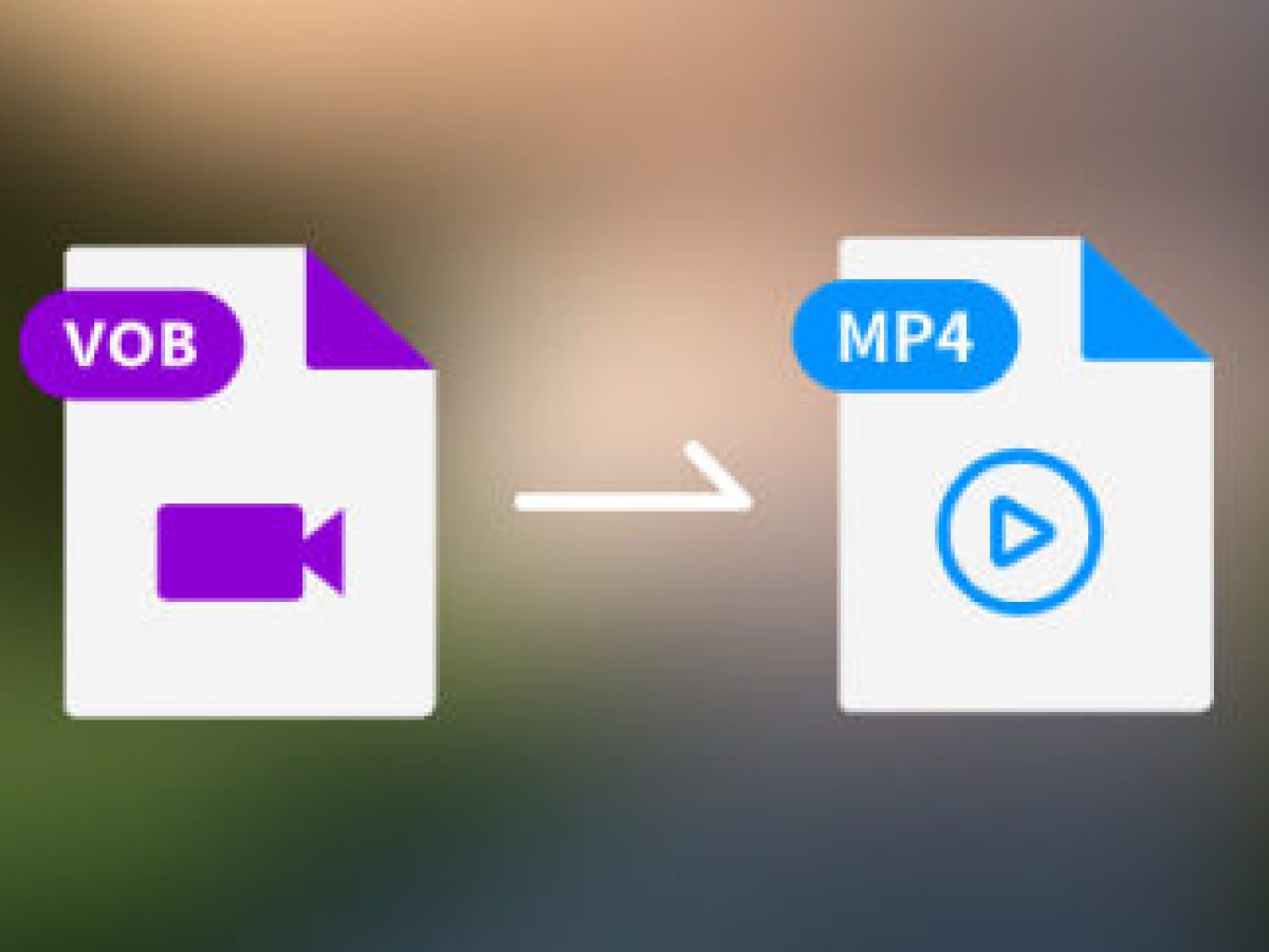 Vob file. Vob file