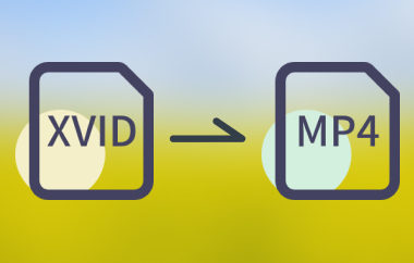 Convert XVID to MP4