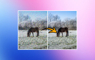 이미지 노이즈 제거