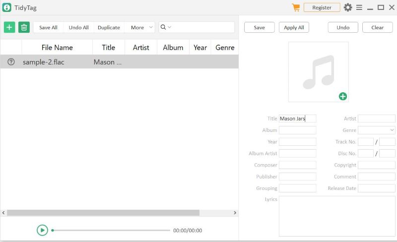 Input Tag in Tidy Tag