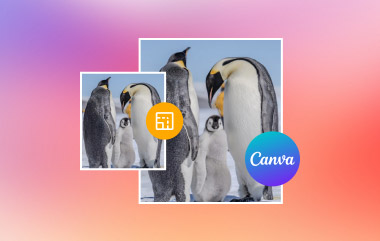 Canva에서 이미지 크기 조정