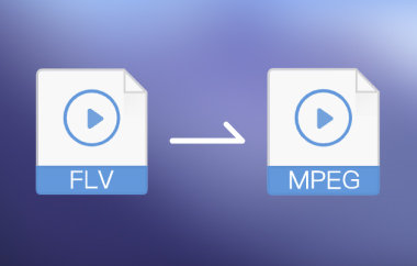 Konvertera FLV till MPEG