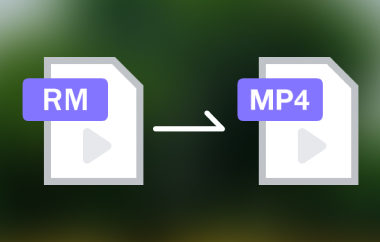 Convert RM to MP4