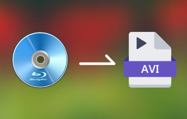 Blu-ray en AVI