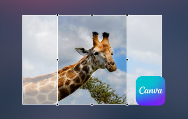 Resize Image in Canva