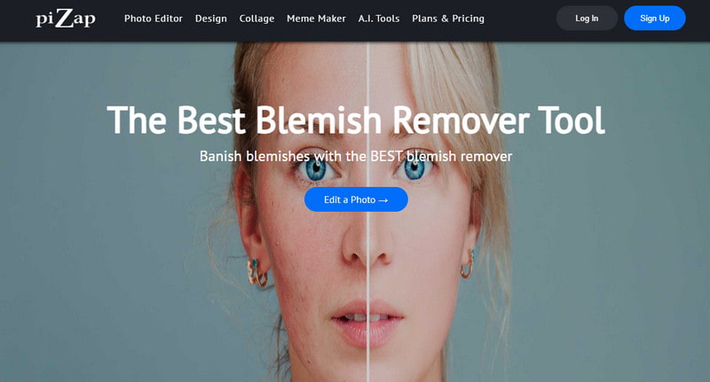 Pizap Blemish Remover