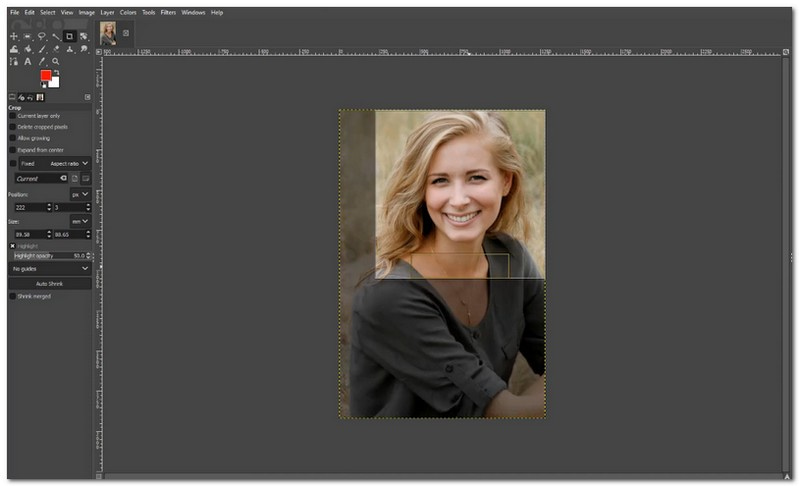 Gimp Resize Image Passport