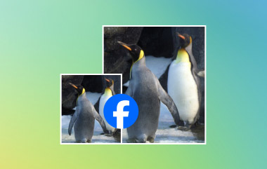 Resize Photo for Facebook