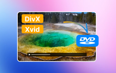 DivX Xvid to DVD S