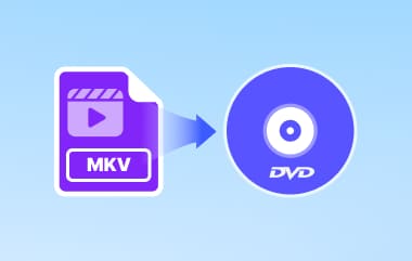 MKV 到 DVD 轉換器