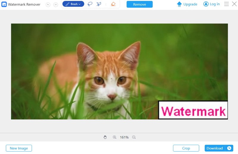 AVAide Watermark Remover بديل لـ WatermarkRemover.io