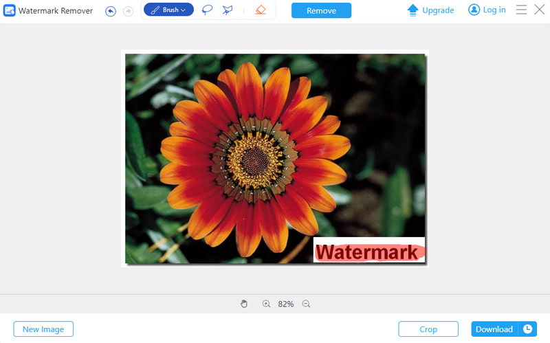 Avaide Watermark Remover ทางเลือก Imyfone Markgo